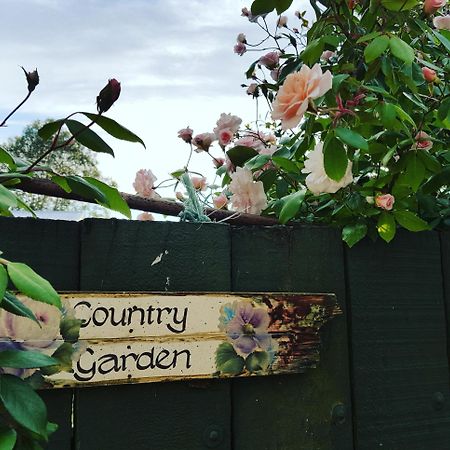 Dragonflycottagebnb Grovetown Dış mekan fotoğraf