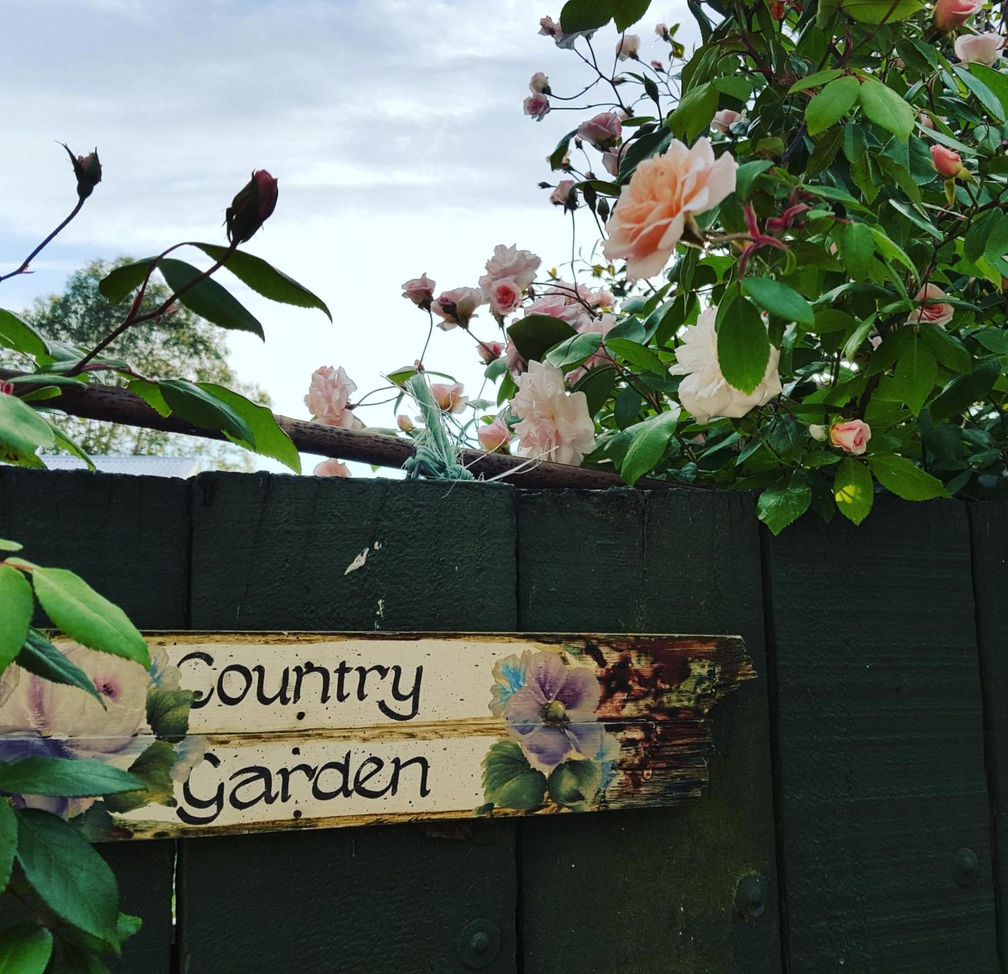 Dragonflycottagebnb Grovetown Dış mekan fotoğraf